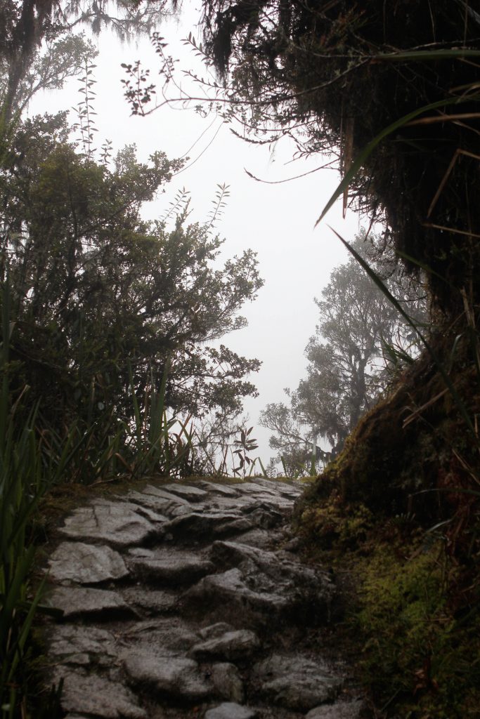 Inca Trail. Photo by Brandy Little.