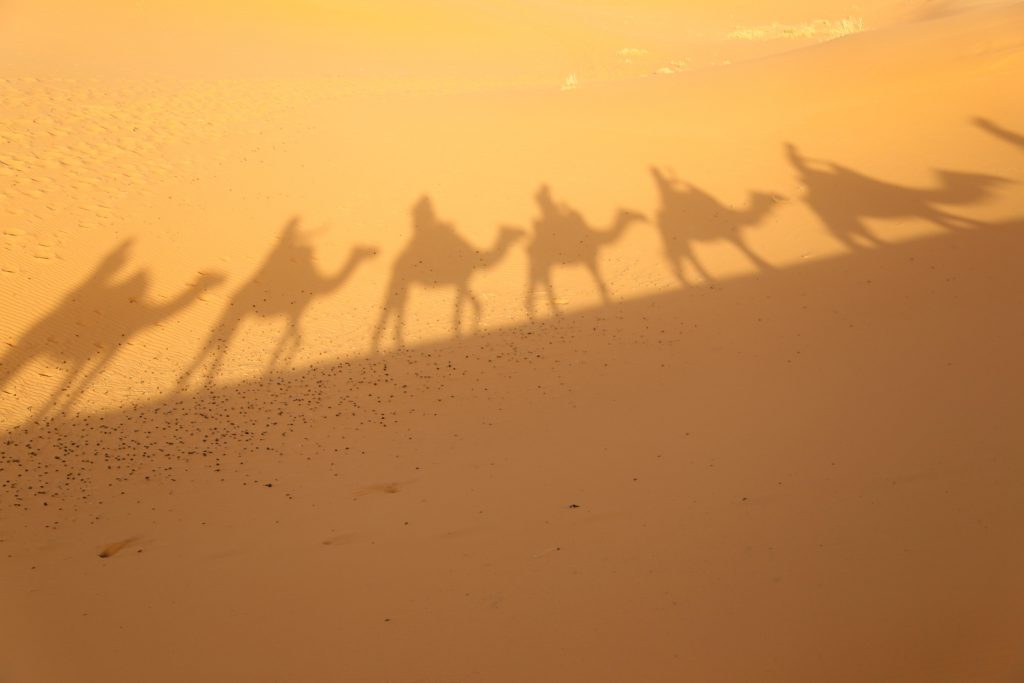 Shadow of camel caravan in the Sahara desert photo by Brandy Little