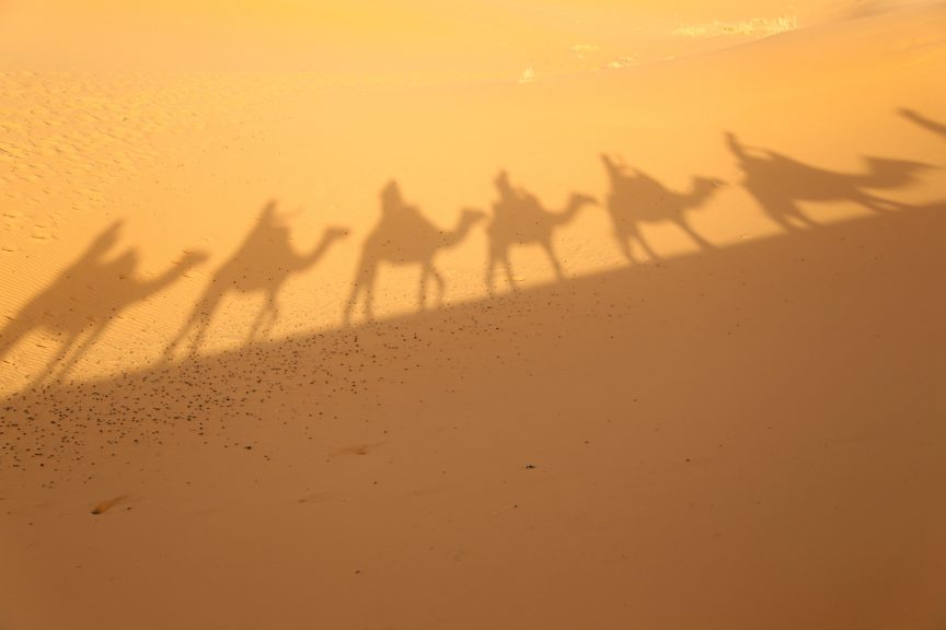 Shadow of camel caravan in the Sahara desert photo by Brandy Little