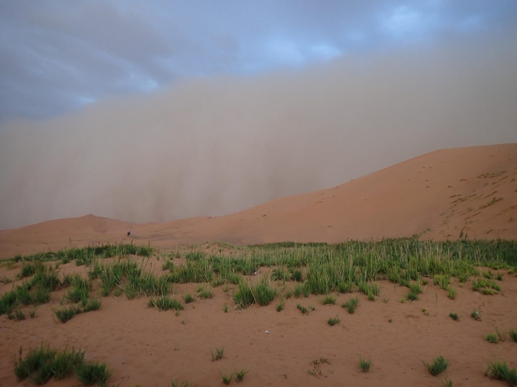 Sahara desert sandstrom photo by Brandy Little