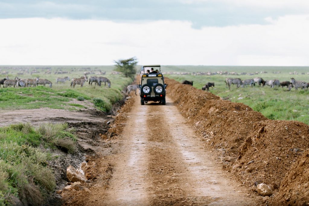 Serengeti, photo by Brandy Little